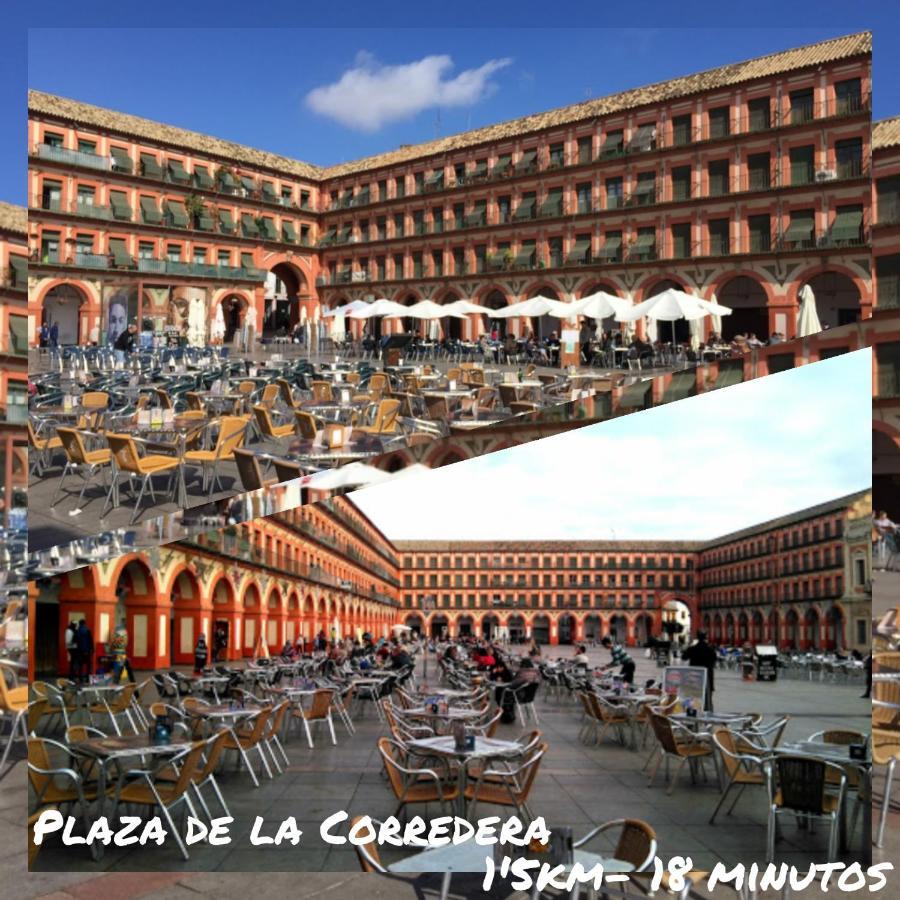 Tati Flat - "Parking Facil" Διαμέρισμα Κόρδοβα Εξωτερικό φωτογραφία